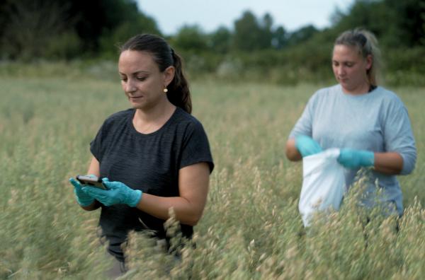 Bild 1 von 5: PFAS verschmutzen Böden und Grundwasser. Wir nehmen sie auch über die Nahrung auf. Gründliche Kontrollen sollen weitere Kontaminationen verhindern.