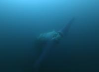 Marvellous Machines: Die grüne Revolution