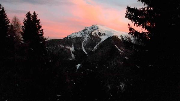 Bild 1 von 16: Im Bild: Eisenhut.