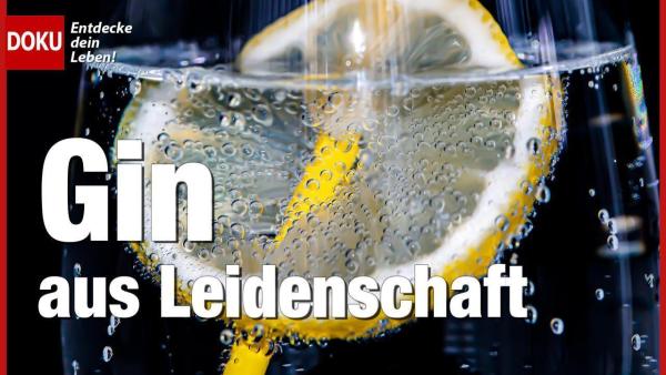 Bild 1 von 1: .