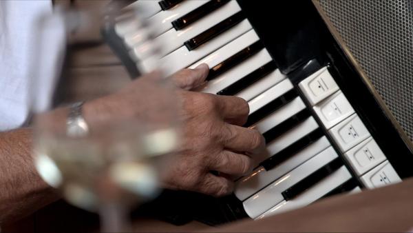 Bild 1 von 10: Im Bild: Schrammelmusik, Akkordeon.