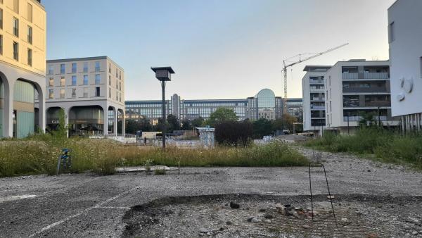 Bild 1 von 14: Einige Straßen der Magdeburger Neustadt sind von Leerstand und Verfall gezeichnet.