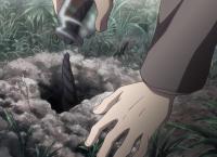 Mushi-Shi