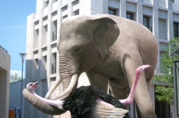 Bild 1 von 1: Der Elefant tanzt durch die Stadt und zieht dabei so manche Blicke auf sich ...