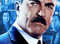Blue Bloods - Crime Scene New York