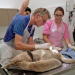 Tierarzt für alle Fälle - Vom Alltag in der Tierklinik