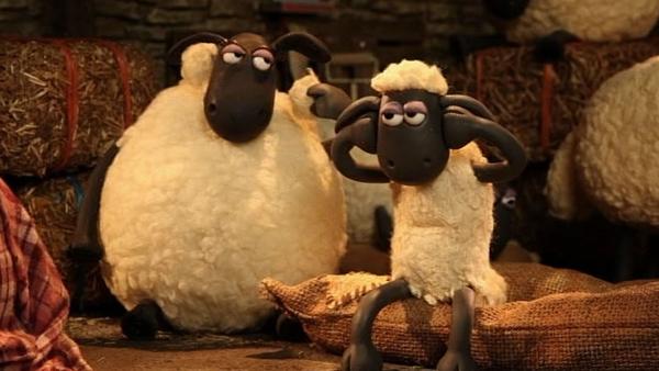 Bild 1 von 6: Laute Musik dringt aus dem Farmhaus, das bekommt kein Schaf ein Auge zu.