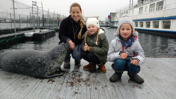 Bild 1 von 4: Marlene (l.) und Ida (r.) im Robbenforschungszentrum Rostock