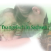 Evangelisch in Sachsen
