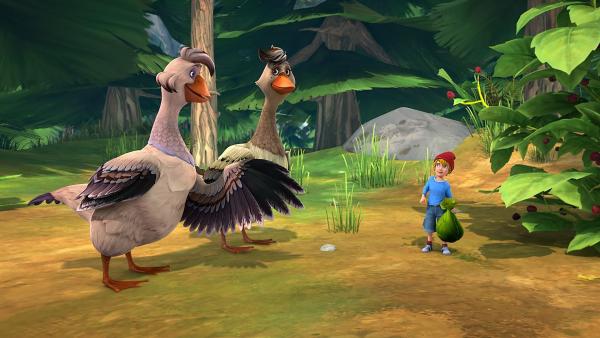 Bild 1 von 7: Nils ist mit beiden Gänsen unterwegs, um Futter zu suchen. Ihr Geplapper nervt ihn gewaltig.