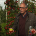 Der wahre Preis für den perfekten Apfel