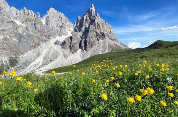 Bild 1 von 8: Frühling im Naturpark Paneveggio - Pale di San Martino