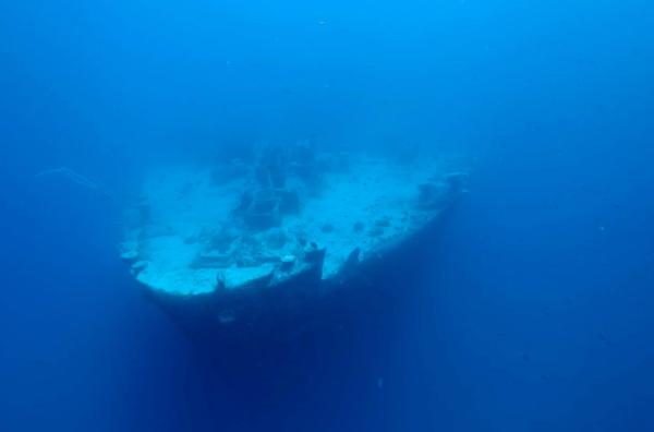 Bild 1 von 4: Im Wrack der ?Thistlegorm? im Roten Meer bereichern Fische und andere Meerestiere die ohnehin schon außergewöhnliche Artenvielfalt noch zusätzlich.