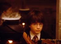 Harry Potter und der Stein der Weisen