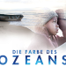 Die Farbe des Ozeans