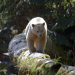 Abenteuer Wildnis