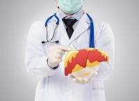 Die Wahrheit über...