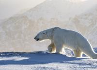 Michael Martin - Mit der Kamera um die Welt
