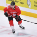Eishockey Live - Die IIHF WM