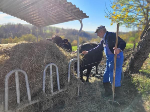 Bild 1 von 11: Austragsbauer Hans Ertl mit seinem Vieh auf dem niederbayerischen Gidi-Hof in Hauzenberg.