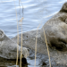 Stille Wasser sind tief