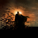 Batman Begins