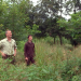 Im Hohen Habichtswald