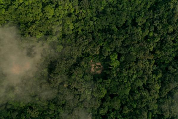 Bild 1 von 5: Obwohl Bonobos unsere nächsten Verwandten sind, wissen wir wenig über sie. Eine junge Forscherin, Leveda Cheng, will im tiefen Dschungel des Kongos die Gruppendynamik der wild lebenden Tiere enträtseln. Bild: Forschercamp des Kokolopori Forschungsprojekts aus der Vogelperspektive.