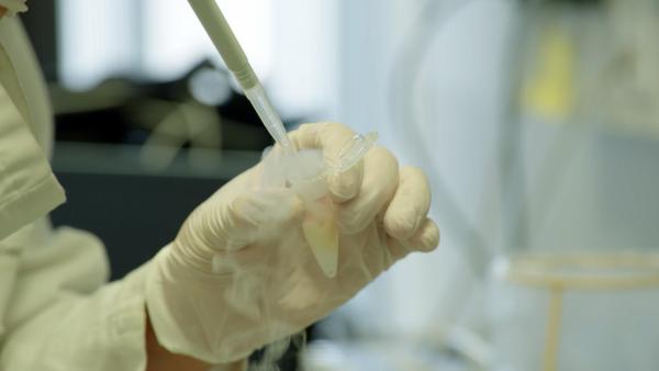 Bild 1 von 5: Im Bild: Die meisten Substanzen wirken nur in Naturprodukten, in Pillenform sind sie unwirksam.