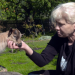 Tierbabys - süß und wild!