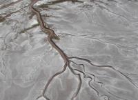 Wasser ist Zukunft