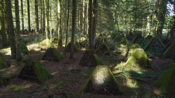 Bild 1 von 3: In der Eifel, an der Grenze zu Belgien, führt eine Linie aus \
