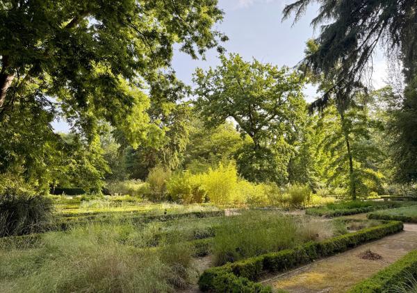 Bild 1 von 4: Blick in den botanischen Garten.