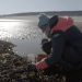 Sylt - Wellen, Wind und Watt