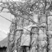 Mogambo