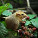 Abenteuer Wildnis