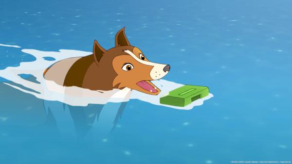 Bild 1 von 5: Lassie ist ins Wasser gesprungen um das Päckchen zu retten in dem das wichtige Gegengift für Mrs. Lee ist.