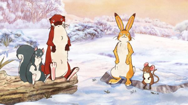 Bild 1 von 8: Das kleine Grauhörnchen, Otter, der kleine braune Hase und die kleine Feldmaus hören gespannt der kleinen Weißeule zu.
© KiKA/SLR Productions Australia Pty.Ltd./Scrawl Studios Pte Ltd./hr/ARD - Honorarfreie Verwendung gemäß AGB im redaktionellen Zusammenhang mit genannter Sendung bei Nennung \