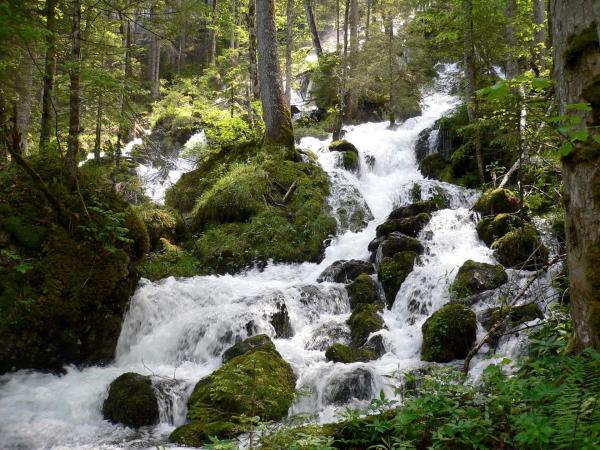 Bild 1 von 8: Im Bild: Immer zur Zeit der Schneeschmelze zeigt sich bei der Kläfferquelle ein überwältigendes Schauspiel: Ein ganzer Berghang speit kristallklares Wasser. Für die Trinkwasserversorgung von Wien und Graz wird das Wasser schon tiefer im Berg abgezweigt.