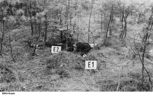 Bild 1 von 2: In einem abgelegenen Waldstück wird die Leiche eines Jungen gefunden. Mit der Dokumentation \