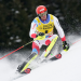 Ski Alpin