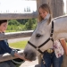 Heartland - Paradies für Pferde