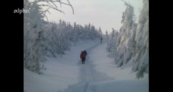 Bild 1 von 4: Der Rennsteig im Winter - 1980.