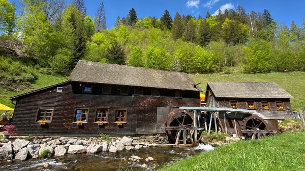 Bild 1 von 19: .