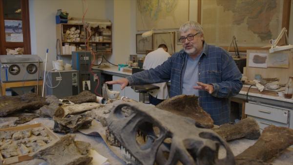 Bild 1 von 13: Der Paläontologe Dr. Pascal Godefroit am Königlich Belgischen Institut für Naturwissenschaften leitet die wissenschaftliche Untersuchung von Fossilien aus einer aktuellen Ausgrabung in Wyoming.