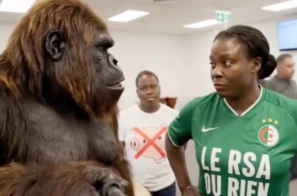 Bild 1 von 1: 2025 wurden die sozialen Netzwerke in Frankreich mit KI-Videos überschwemmt, in denen die automatische Gesichtserkennung dazu geführt hat, dass anstelle von Personen mit schwarzer Hautfarbe Gorillas anzeigt werden.