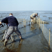 Ostfriesland - Sieben Inseln und ein Meer