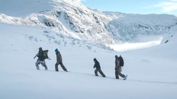Bild 1 von 1: .