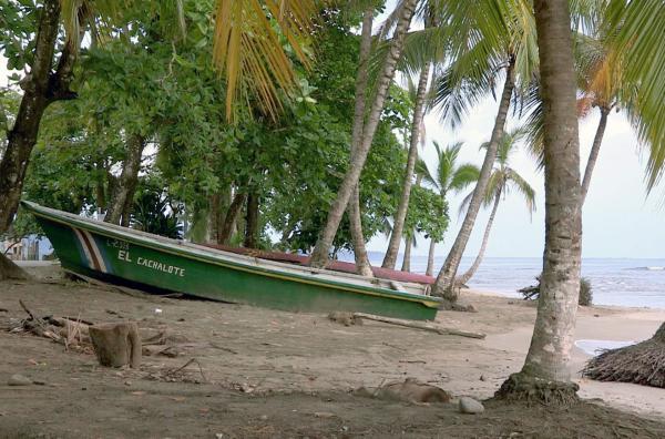 Bild 1 von 3: In Costa Rica erzählte der Sänger Walter Ferguson in seinen Songs lustige und anrührende Geschichten aus seiner Nachbarschaft und zeichnete damit ein liebevolles Porträt der afro-karibischen Gemeinschaft.