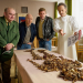 Bild 12